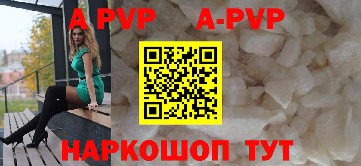 Альфа ПВП СК КРИС Грозный