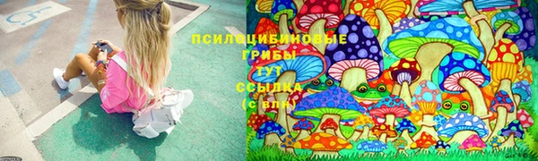 круглые Тавда