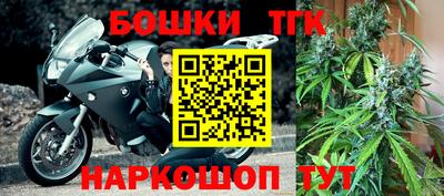 дживик Моздок
