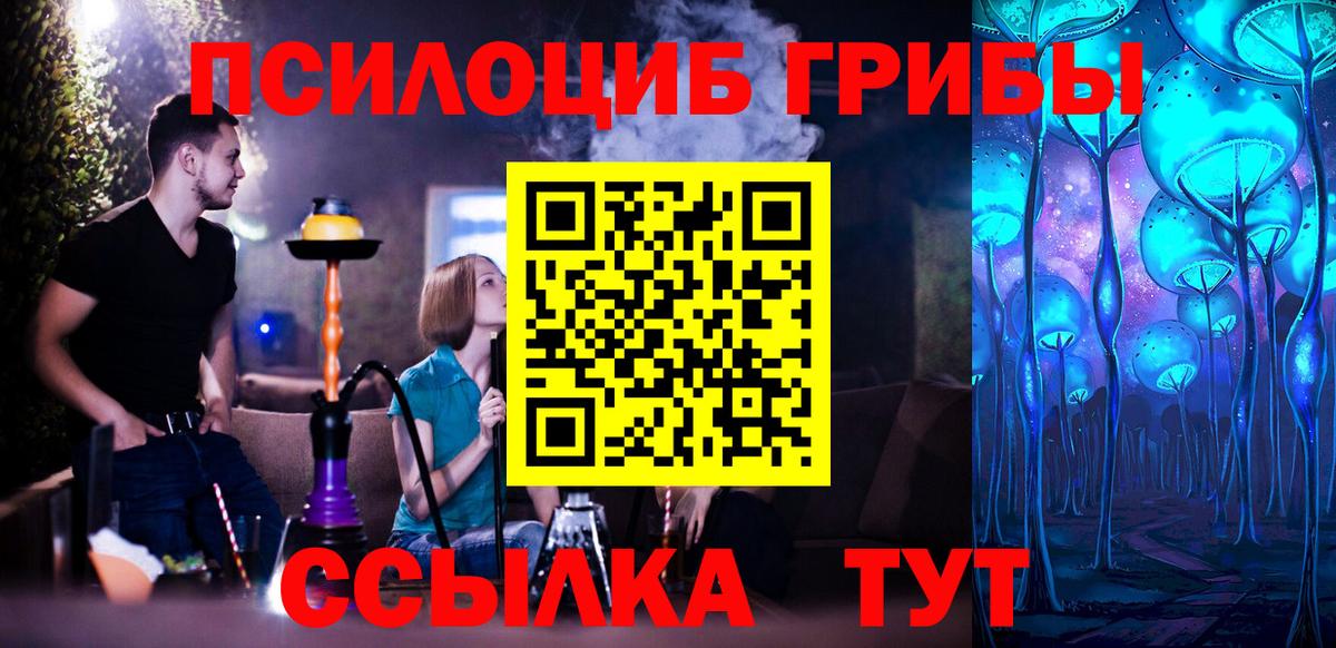Псилоцибиновые грибы мицелий  Вход с VPN  Грозный 
