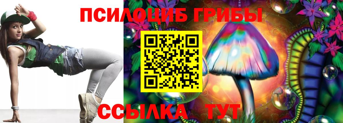 Галлюциногенные грибы прущие грибы Грозный